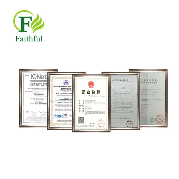 Faithful's Certificate Faithful's Certificate
